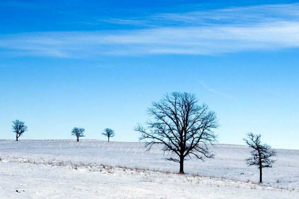 Garage Door Opener Repair & Replacement in Green Bay, WI